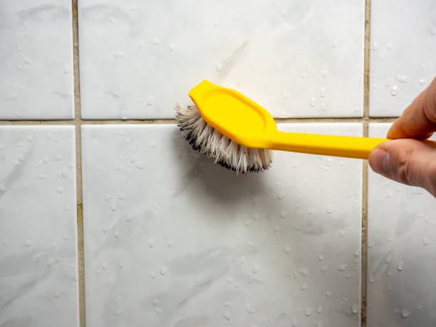 Best Commercial Mold Removal  in Wagener, SC